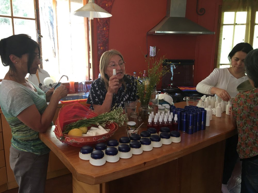 Sylvia galleguillos enseñando aromaterapia - Osmanthus y La Campana 2016